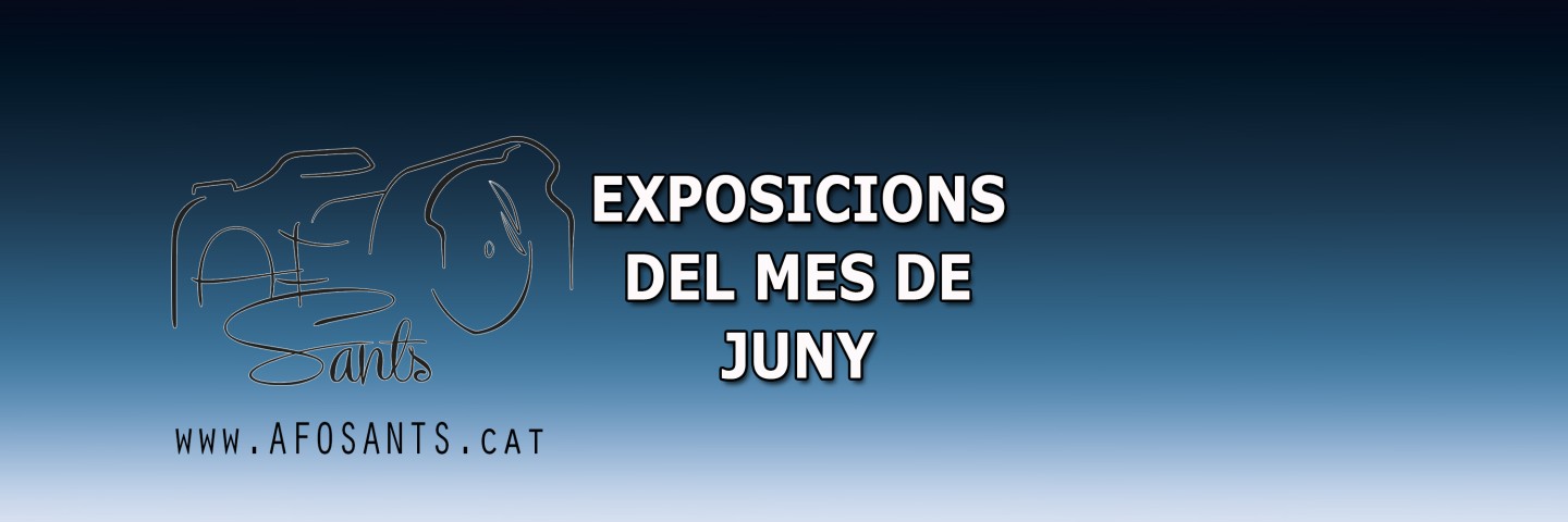 Cartel Mailling Expo Juny