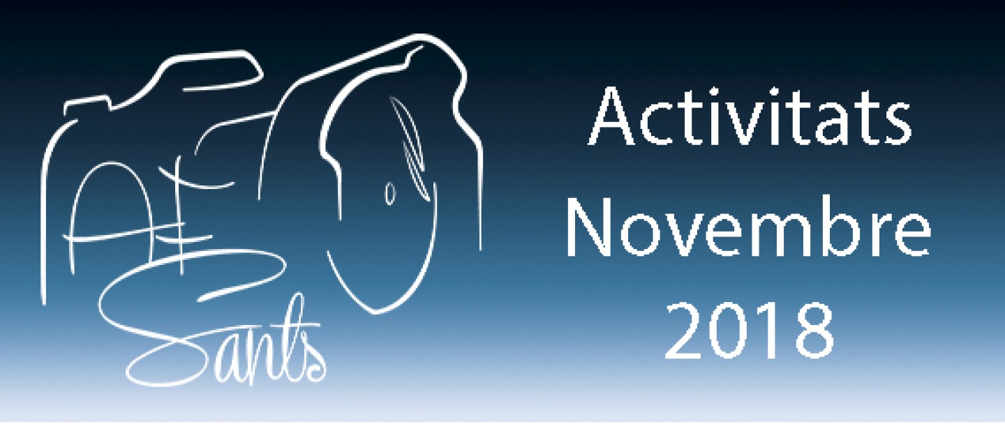 Activitats novembre 18