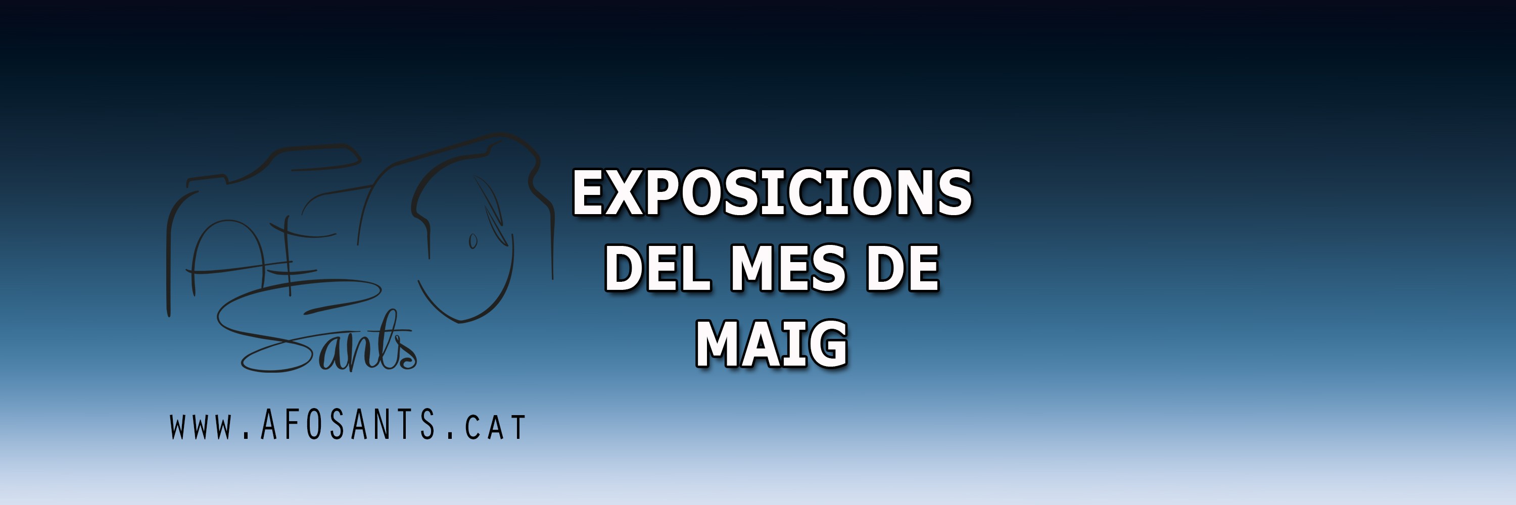 Cartel Mailling Expo Maig