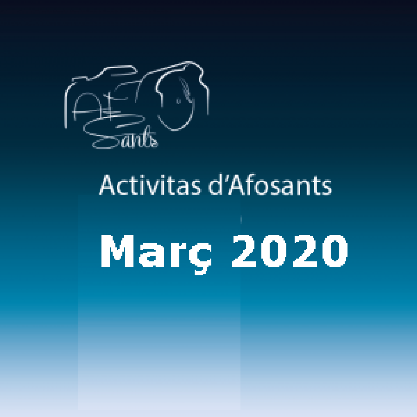 Panel-Activitats-març