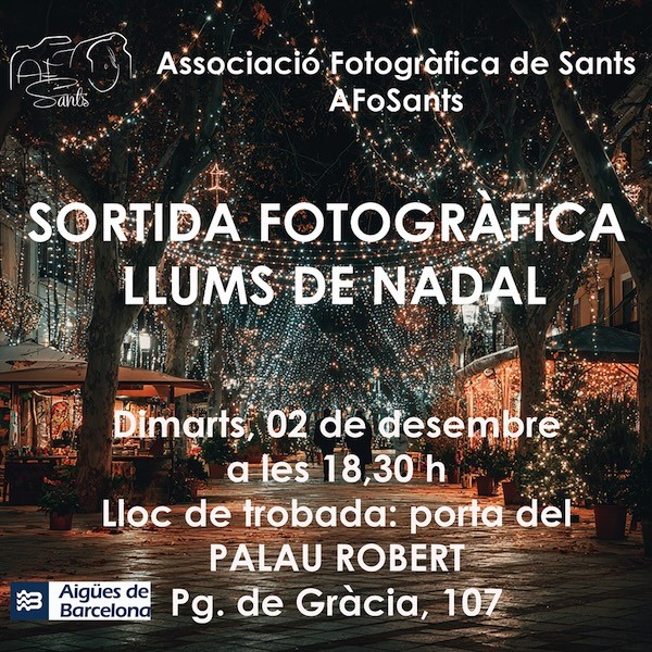 2025.12.02 Llums de Nadal