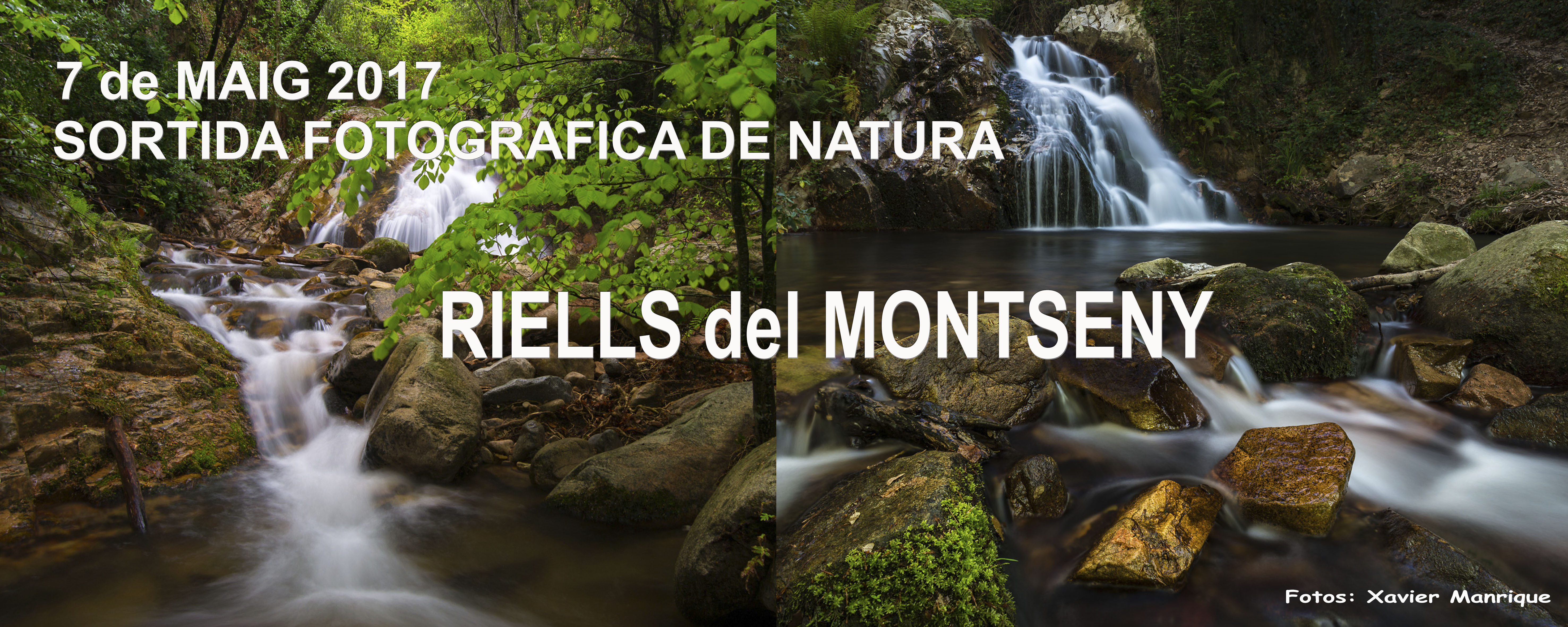 RIELLS DEL MONTSENY